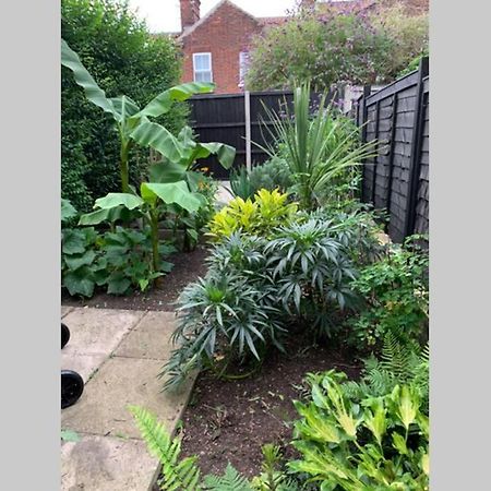 Beautiful Two Bed Victorian Terrace House Villa Norwich Exteriör bild