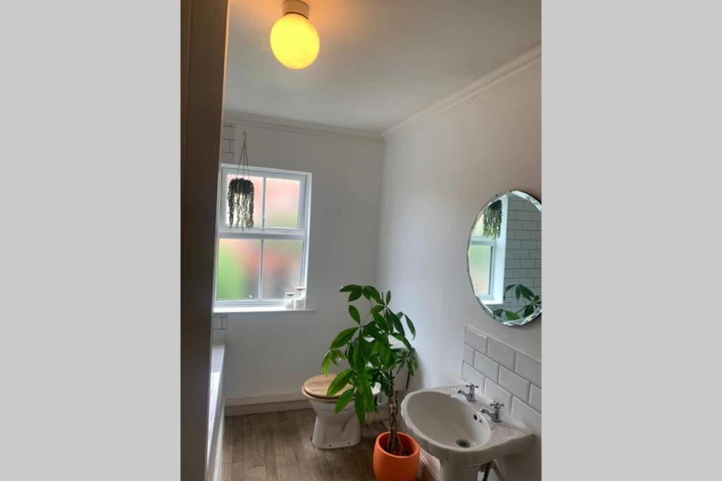 Beautiful Two Bed Victorian Terrace House Villa Norwich Exteriör bild