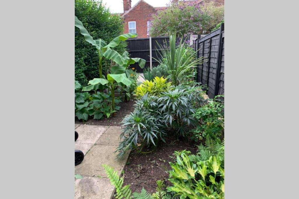 Beautiful Two Bed Victorian Terrace House Villa Norwich Exteriör bild